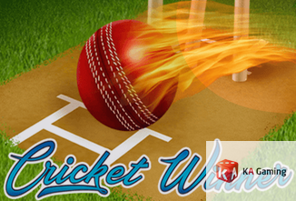 Cricket Winner